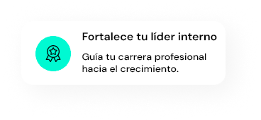 lidertech 1