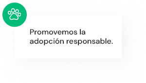perros